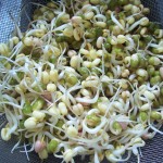 Mung Bean Sprouts Recipe