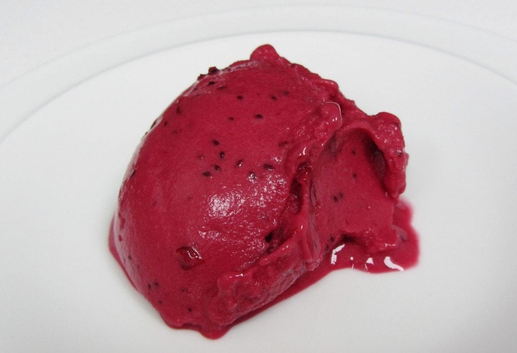 Blackcurrant frozen yogurt scoop