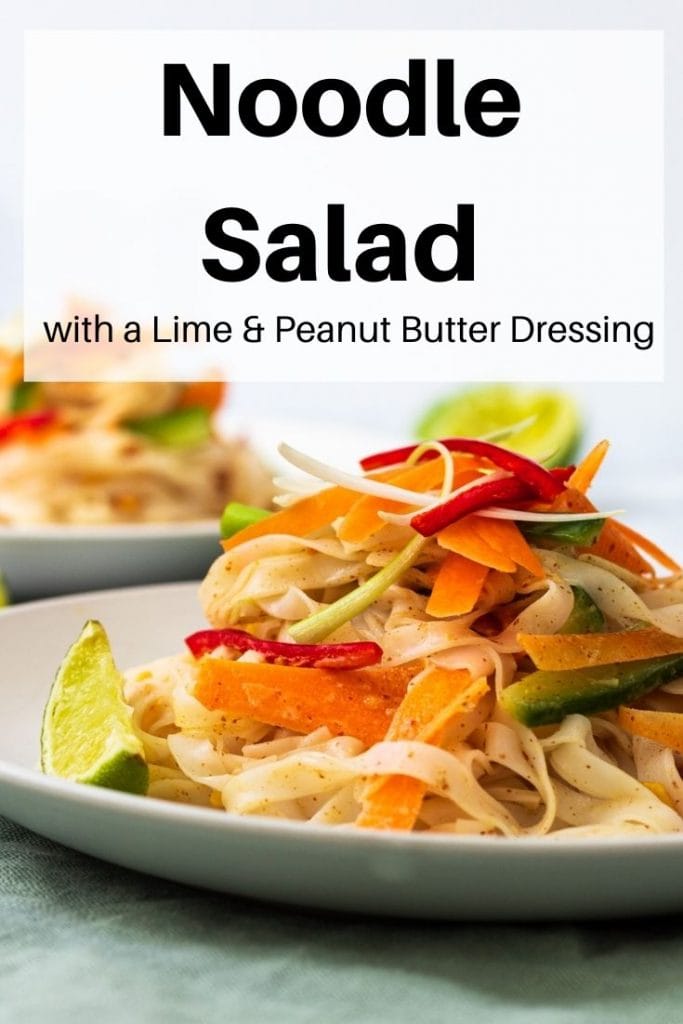 Noodle salad pin image