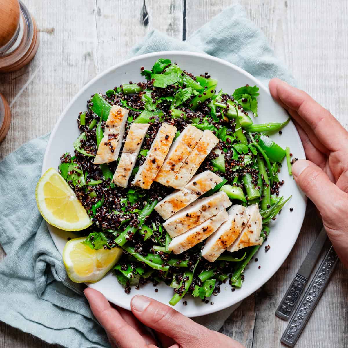 Hands holding a plate of black quinoa and chicken salad