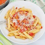 Leftover Turkey Ragu