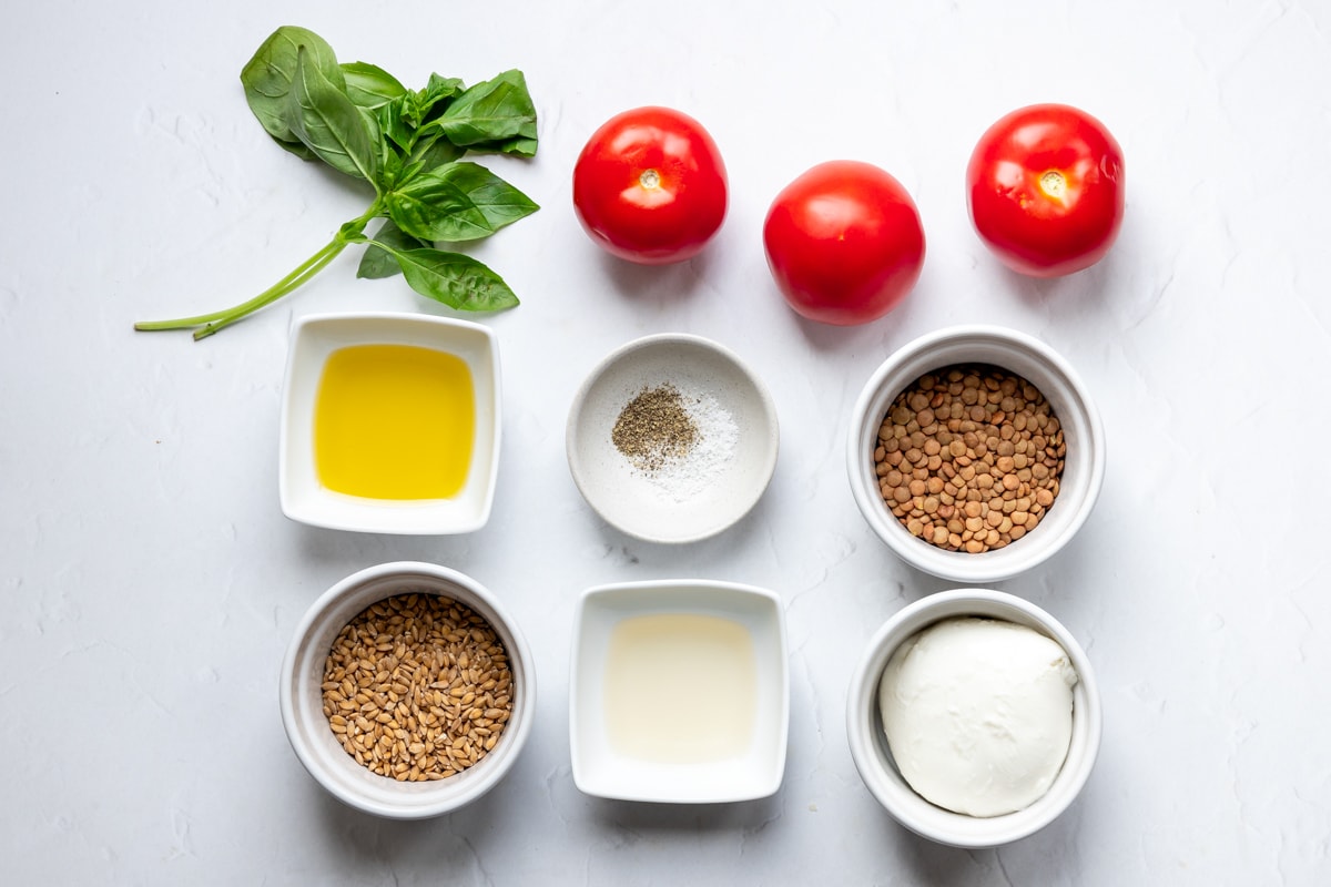 Ingredients for spelt and lentil caprese salad