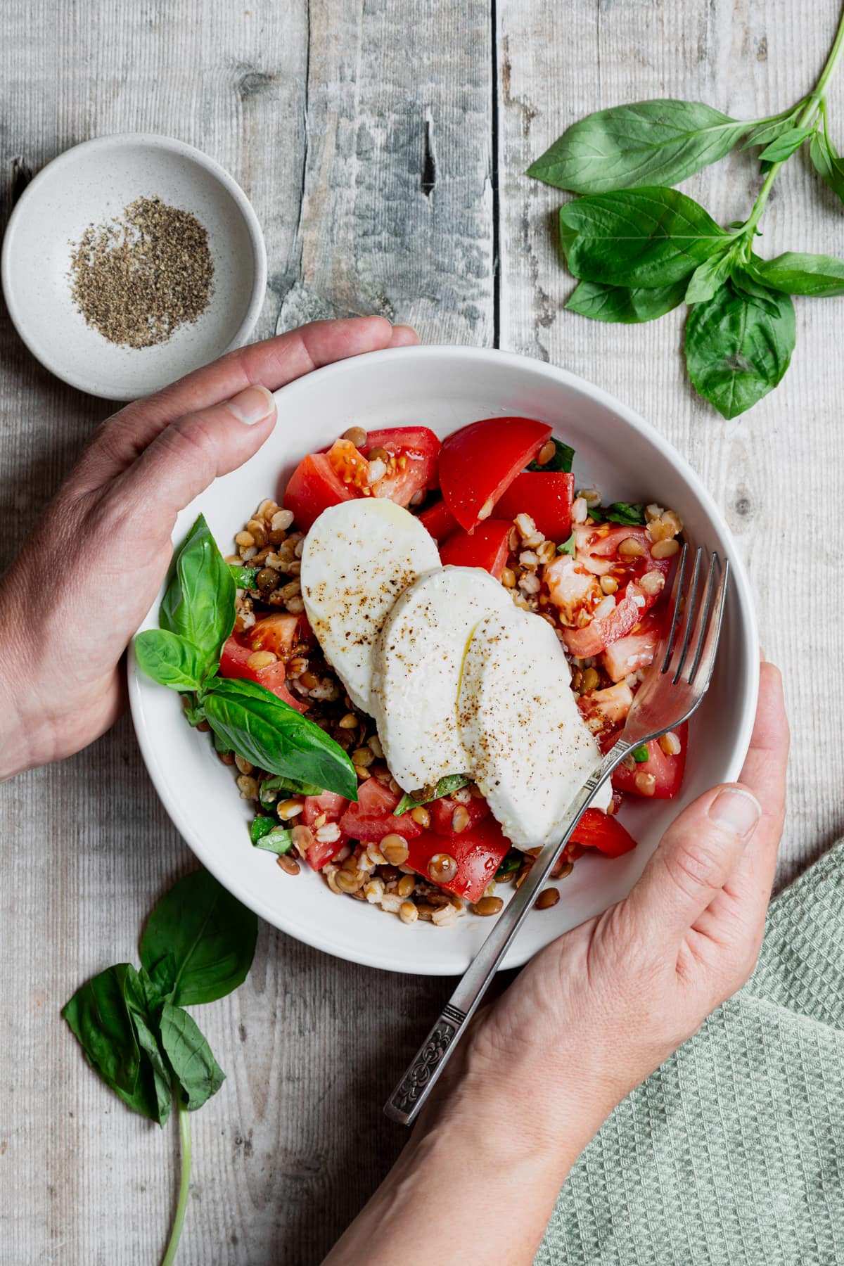 hands holding spelt and lentil mozzarella salad