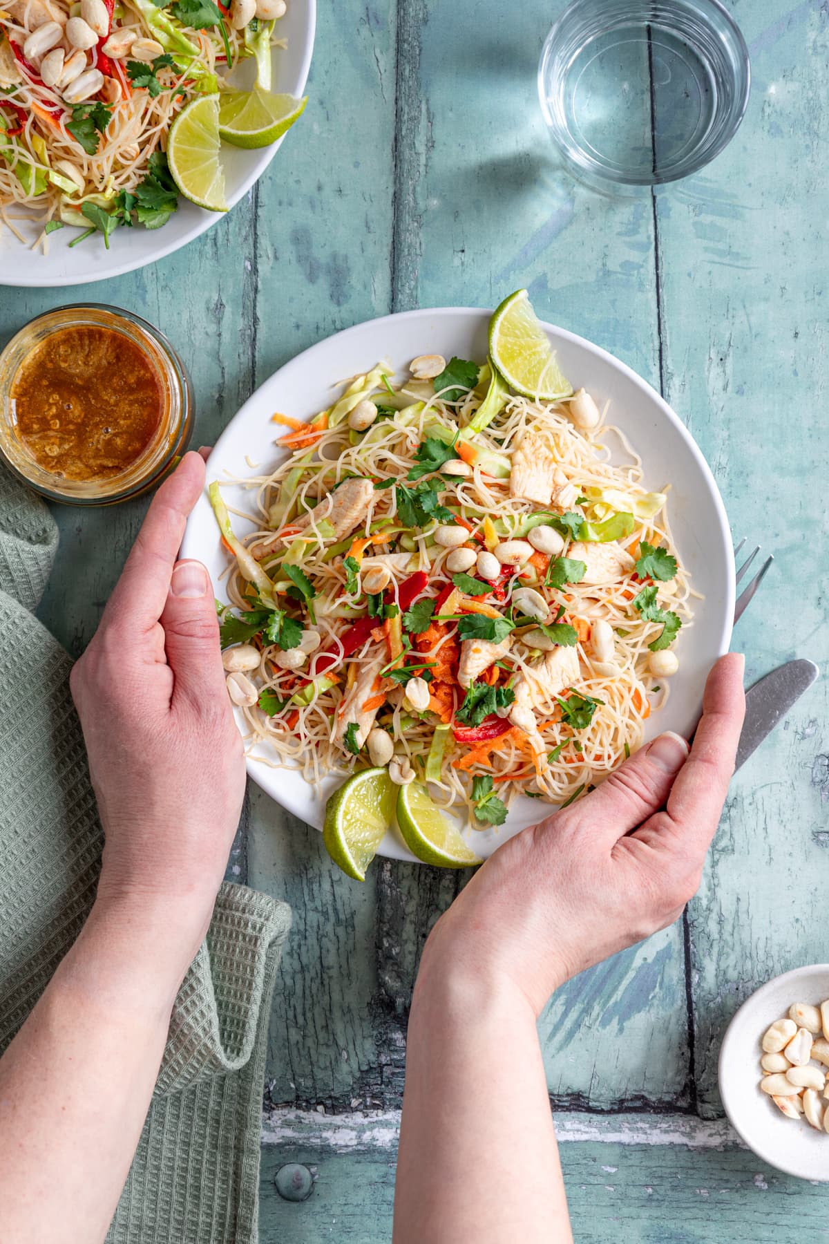 Hands holding a plate of chicken noodle salad