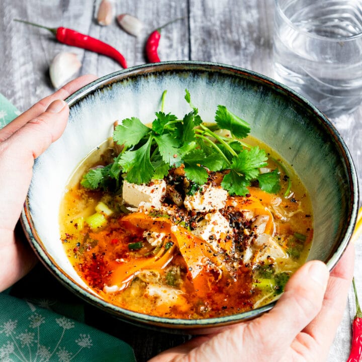 Bowl of Chinese hot and sour soup