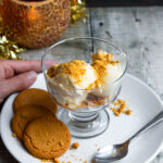 Bowl of gingerbread ice cream