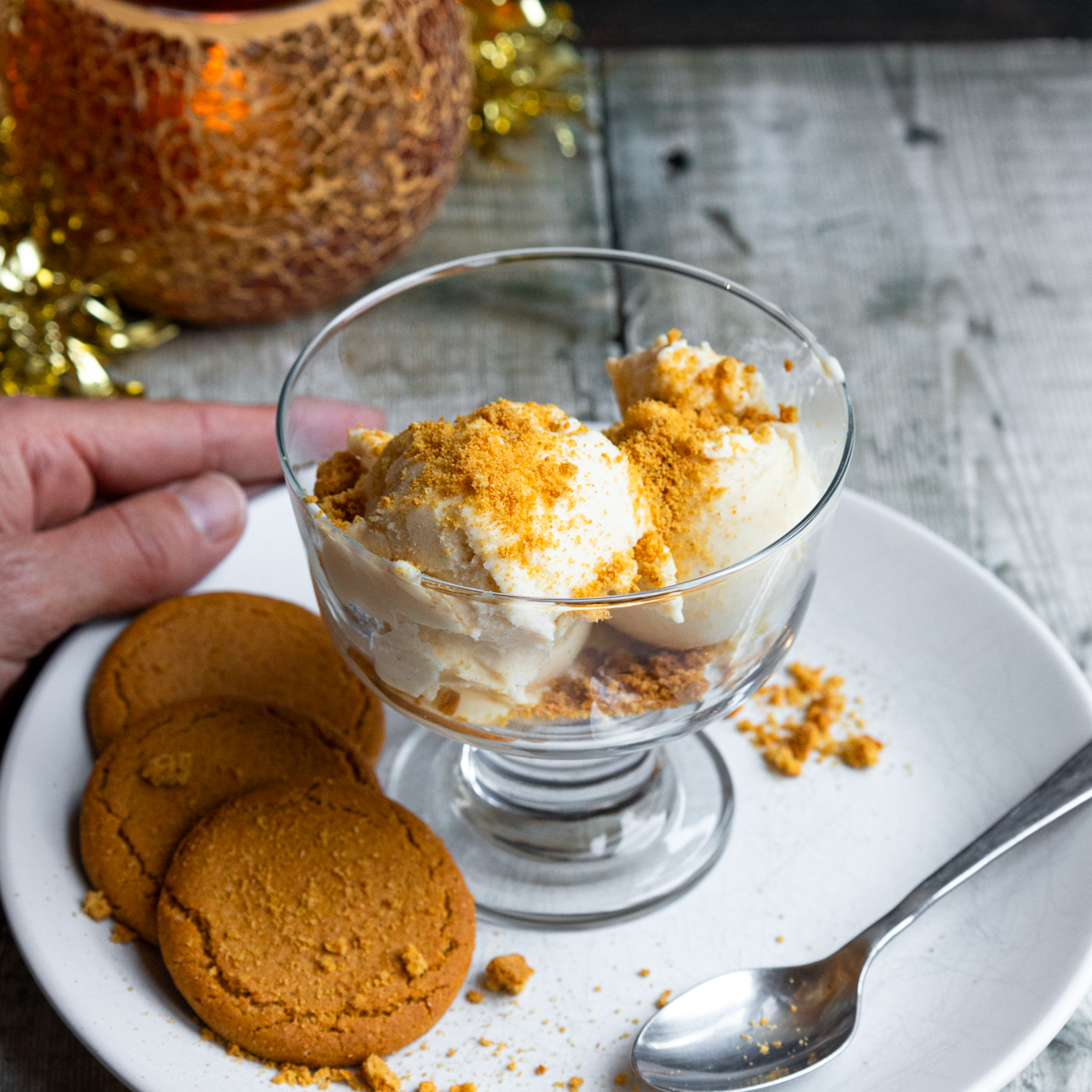 Bowl of gingerbread ice cream